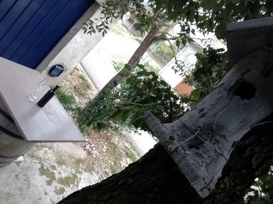 Apartment Dobric Koromacno Exterior photo